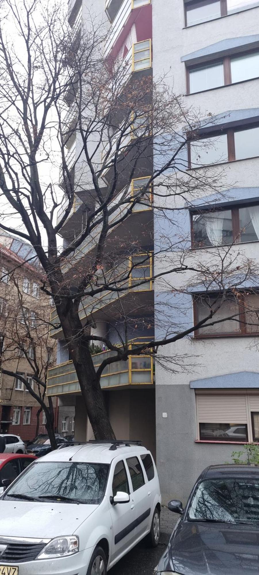 Huge Apartment Next To Train Station Close To The City Center Bratislava Eksteriør billede